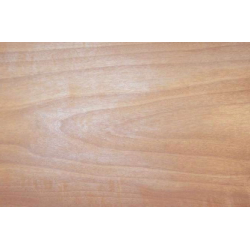 Anigre nažfinieris A