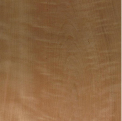 Ķirsis nažfinieris B