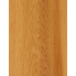 Ciedra nažfinieris B