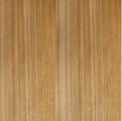 Eikalipta nažfinieris A