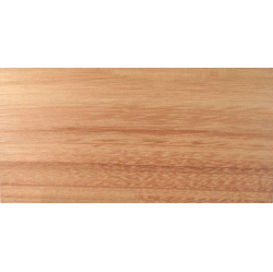 Eikalipta nažfinieris B