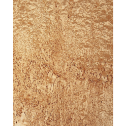 Karēlijas bērza nažfinieris C