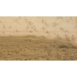 Kļavas putna acs nažfinieris B