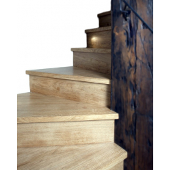 Ozolkoka kāpnes ar pretpakāpieniem.