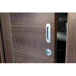 Riekstkoka finierējuma bīdāmās durvis