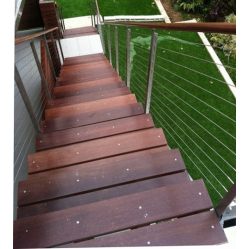 Kāpņu pākāpieni.