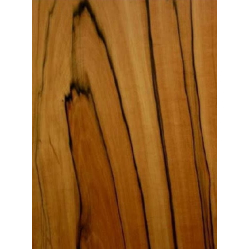 Tineo nažfinieris A