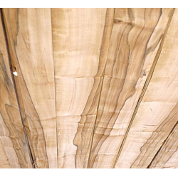 Tineo nažfinieris C