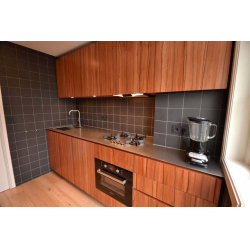 Virtuve ar tineo finierējuma fasādēm